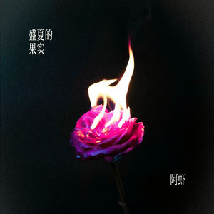 婷婷中文字幕在线观看
