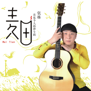 婷婷中文字幕在线观看
