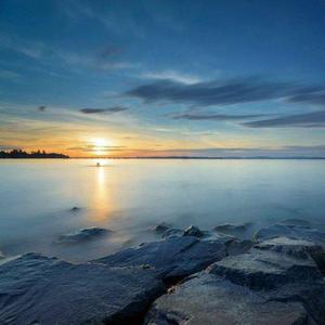 婷婷中文字幕在线观看
